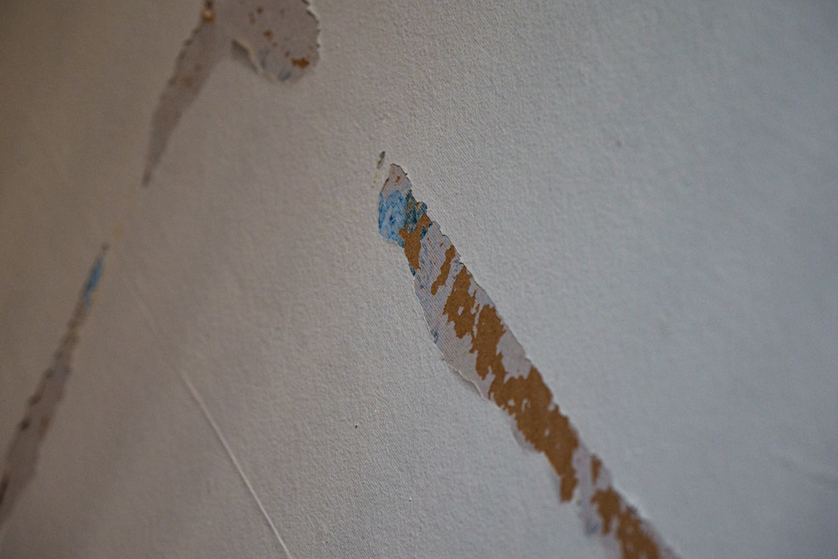 Sewage Cleanup service in Jurupa Valley, CA